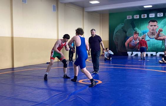 Чемпионат Гомельской области по греко-римской борьбе среди инвалидов с нарушением слуха