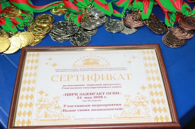 Первенство Гомельский областной центр олимпийского резерва по паралтмпийским и дефлимпийским видам спорта по плаванию среди детей-инвалидов с нарушениями слуха, зрения, ОДА
